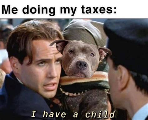 filing taxes meme|50 Funny Tax Memes That Are Better Than Finding A。